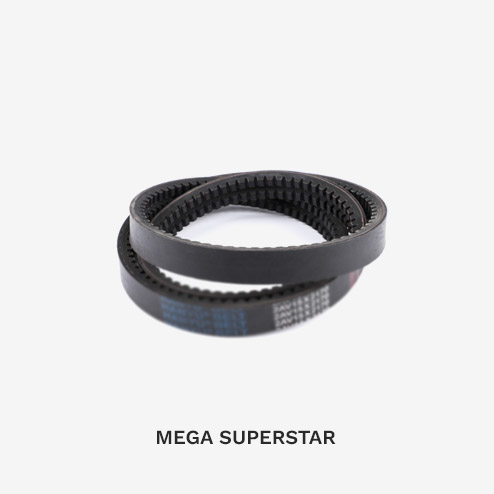 mega-superstar